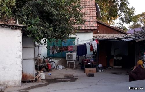 Ýurtlar ahlaksyzlykdan çökýär!