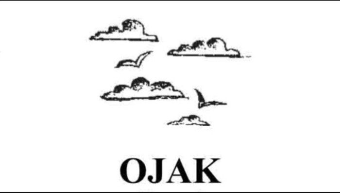 Ojak — 1-nji kitap -10: romanyň dowamy