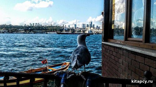 Bir çarlagy agladypsyñ...