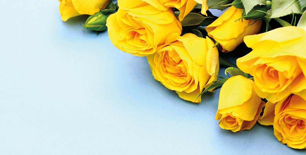 Sa­ry bä­gül­ler (Es­se)