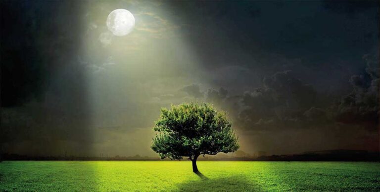 Tüm­lü­giň için­de (Hekaýa)