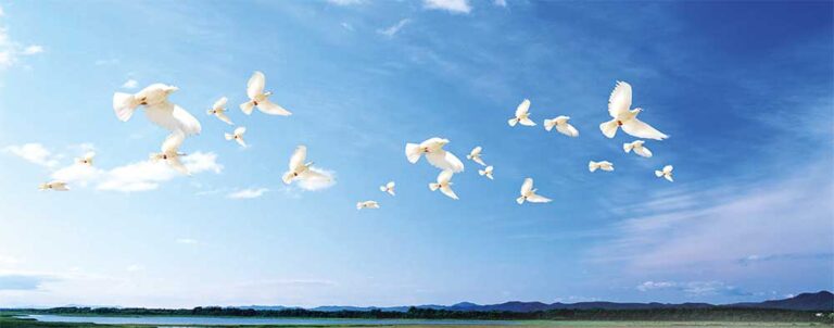 Ta­go­ryň ga­la­myn­dan (He­ka­ýa)