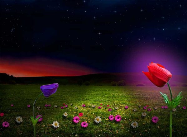 Bir enäniň ömri (He­ka­ýa)