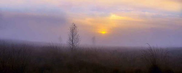 Göwnüni awlasym gelýär her kimiň... (Şygyrlar)