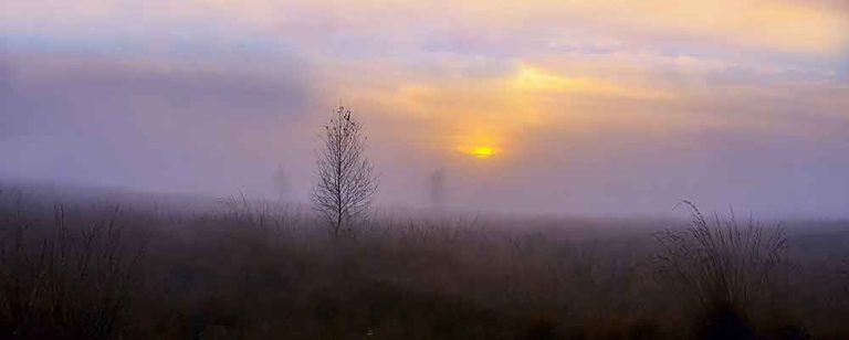 Göwnüni awlasym gelýär her kimiň... (Şygyrlar) Göwnüni awlasym gelýär her kimiň… (Şygyrlar)
